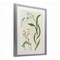 Stupell Industries Neutral Snowdrop Stems Framed Print Under Glass, design by June Erica Vess